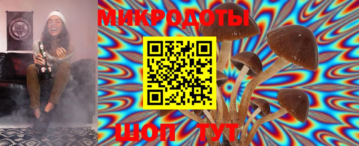 Псилоцибиновые грибы Psilocybine cubensis  Псилоцибиновые грибы GOLDEN TEACHER  Зеленогорск  Вход с VPN 